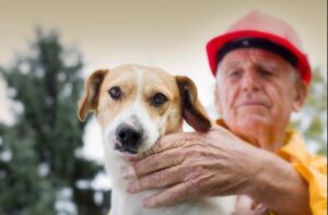 Pet Fire Safety Day 