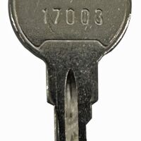 17003