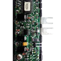 G1M