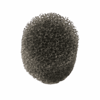 ISP-001