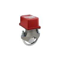 VSG-2