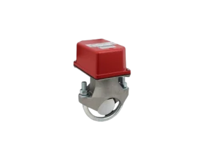 VSG-2