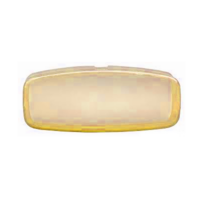 49LENS-AMBER SIMPLEX