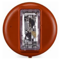 49VO-APPLC SIMPLEX