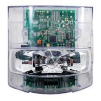 49VO-APPLW SIMPLEX