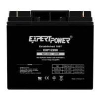 EXPERT POWER (EXP12200) ExpertPower EXP12200 12 Volt 20 Ah Recha