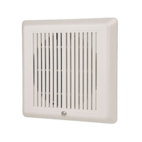 EDWARDS (INT-TW) HORN,TEMPORAL,WHITE