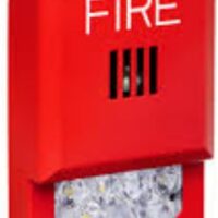 Wheelock (EL3RMTSTG-NW) (Cn106663) Eluxa 3R Multitone Strobe, Green Lens, No Lettering, With Mp, Whi