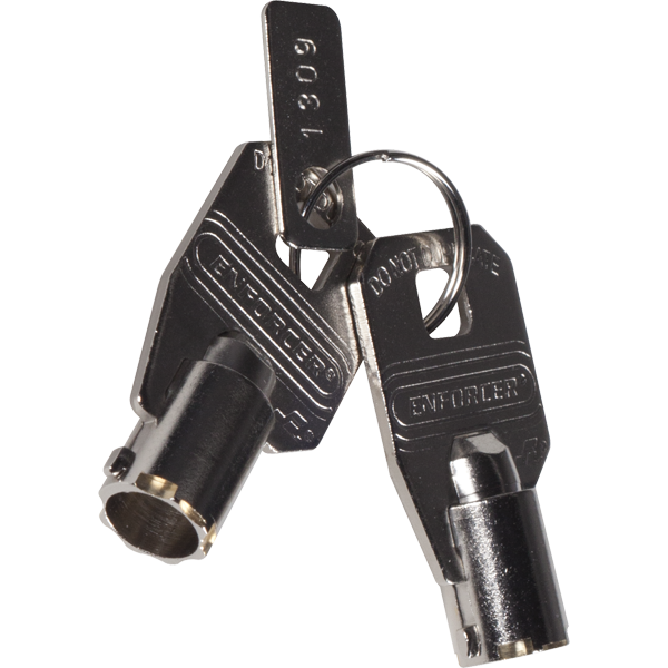 sti kit-h18078, STI KIT-H18078 Exit Key #1309 for STI-6405 (quantity 2)