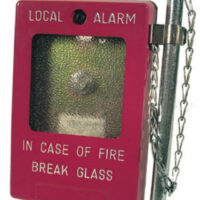 RSG NC-S2 Break Glass Station — Double Pole with Hammer & Chain