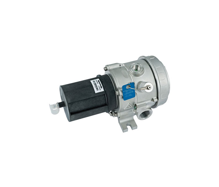 Det-Tronics PIRECLA11B1T2, Det-Tronics (PIRECLA11B1T2) Pirecl Pointwatch Eclipse Models, Sil/Fm/Csa/Atex/Iecex